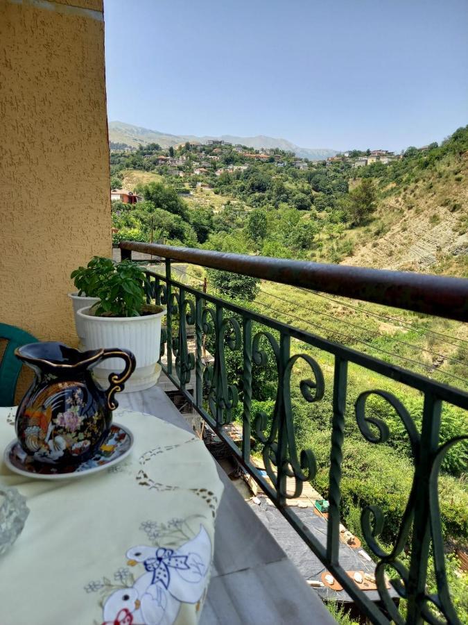 Guesthousemantho Gjirokastër Esterno foto