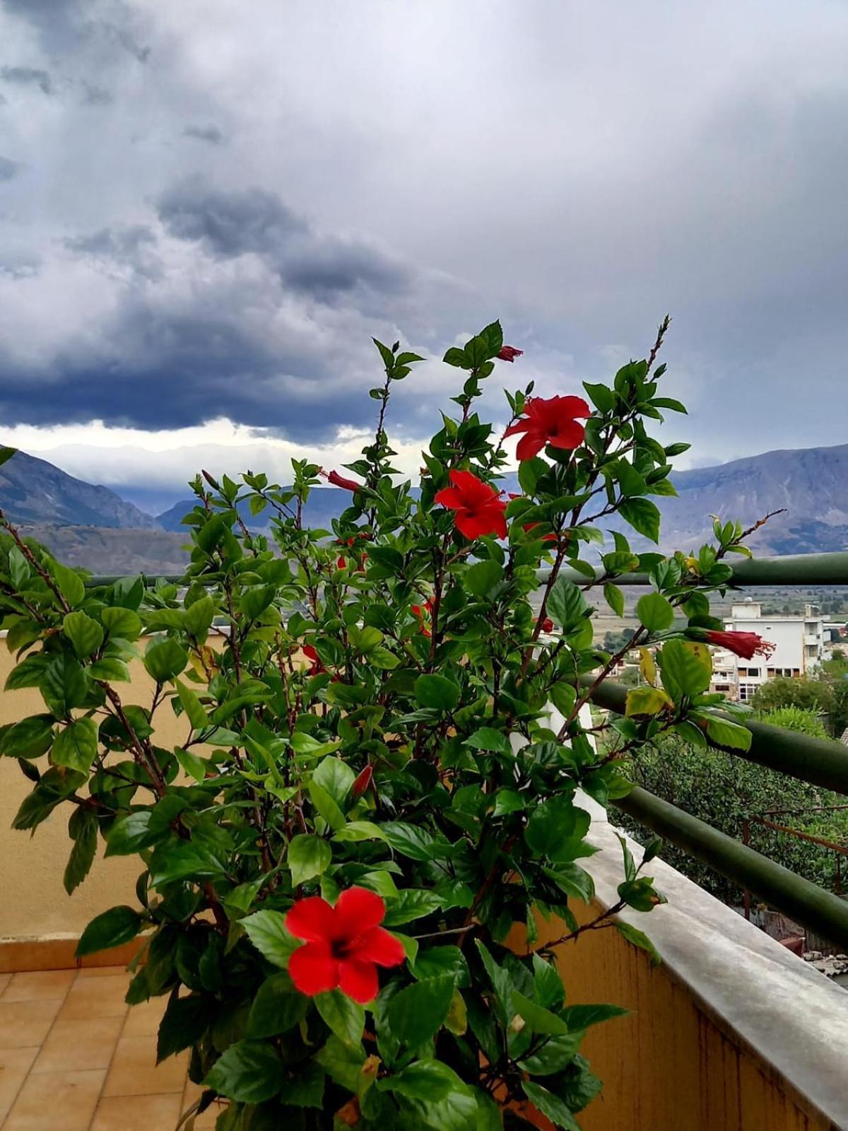 Guesthousemantho Gjirokastër Esterno foto
