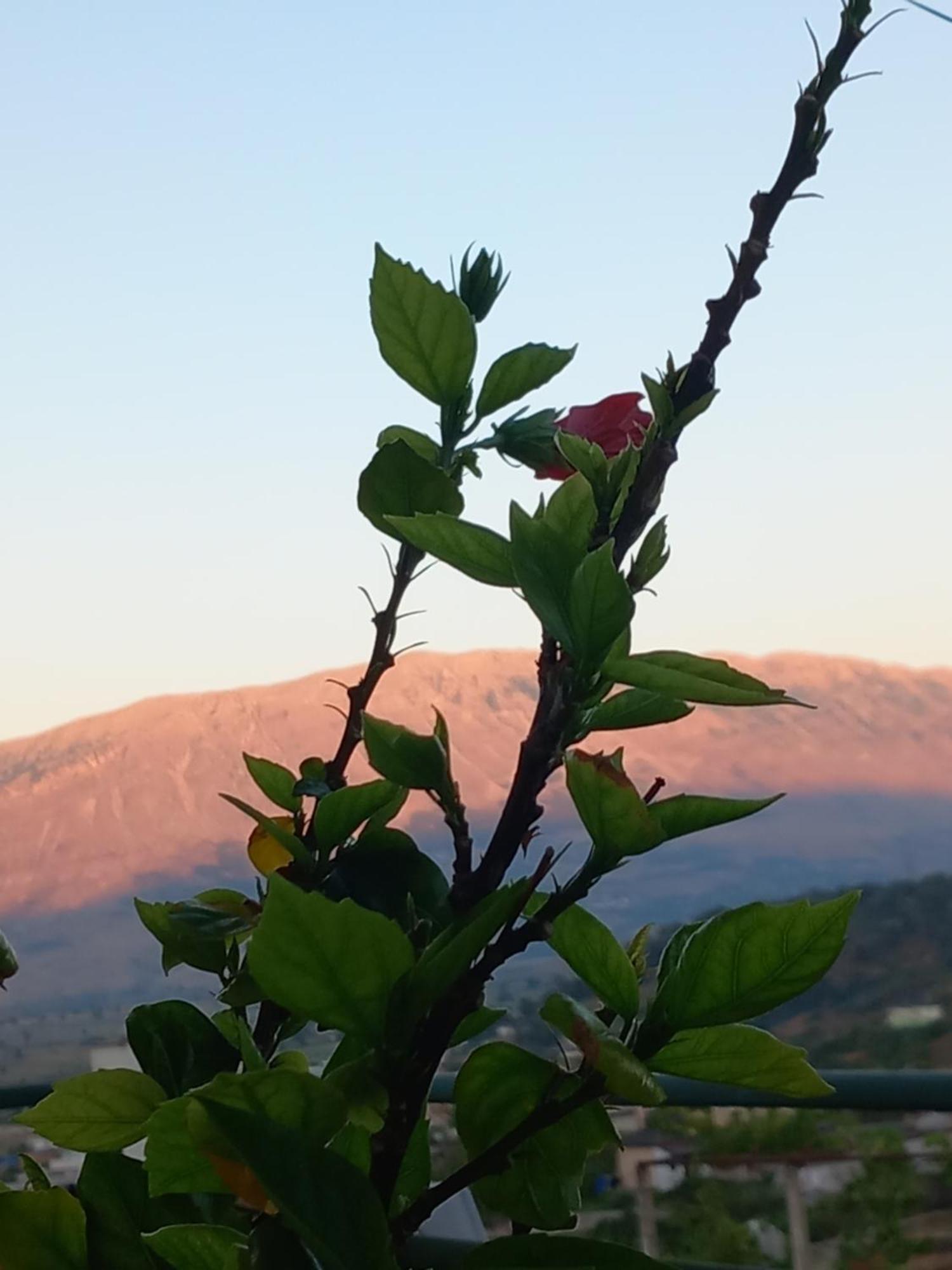 Guesthousemantho Gjirokastër Esterno foto
