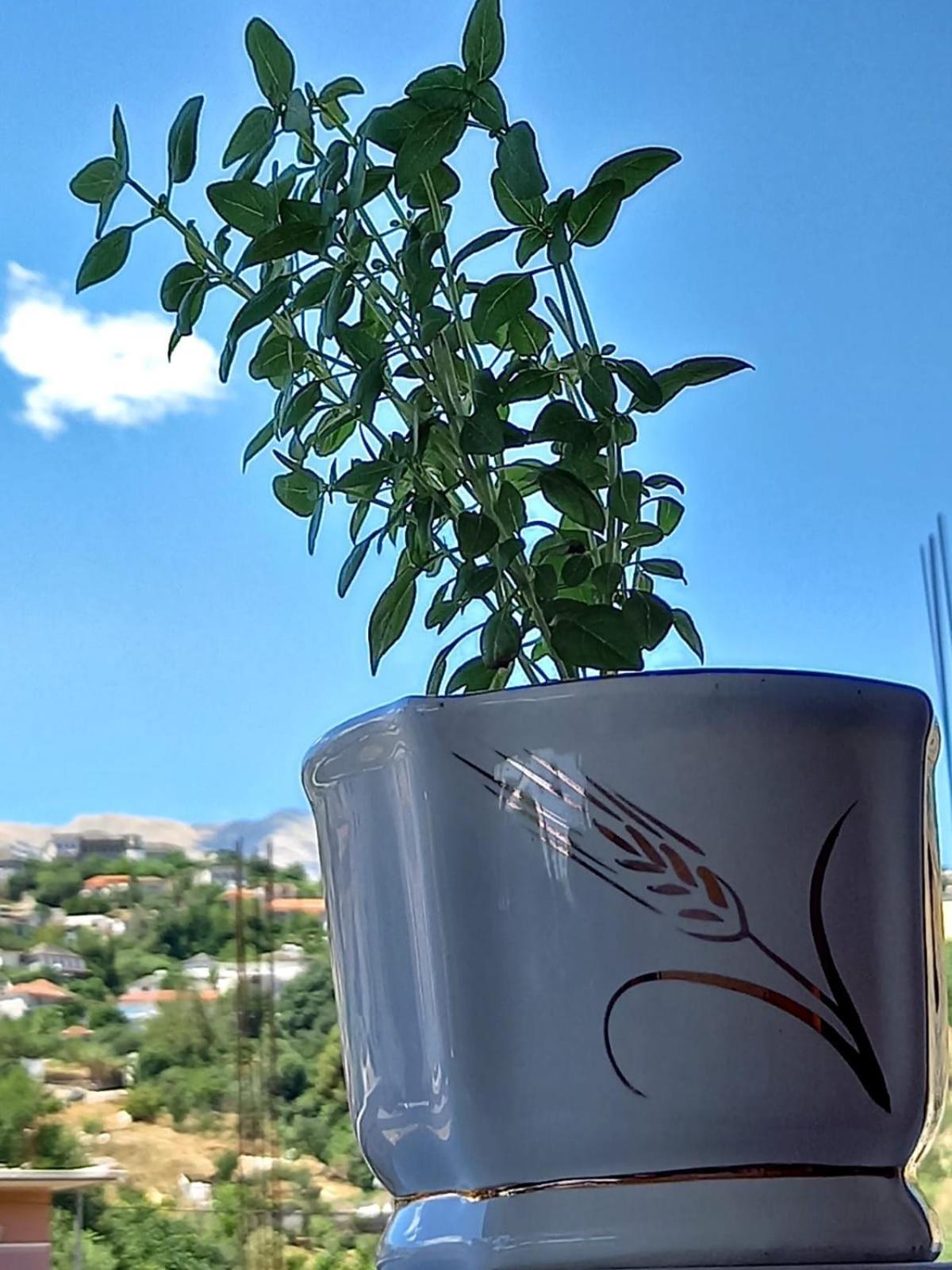 Guesthousemantho Gjirokastër Esterno foto