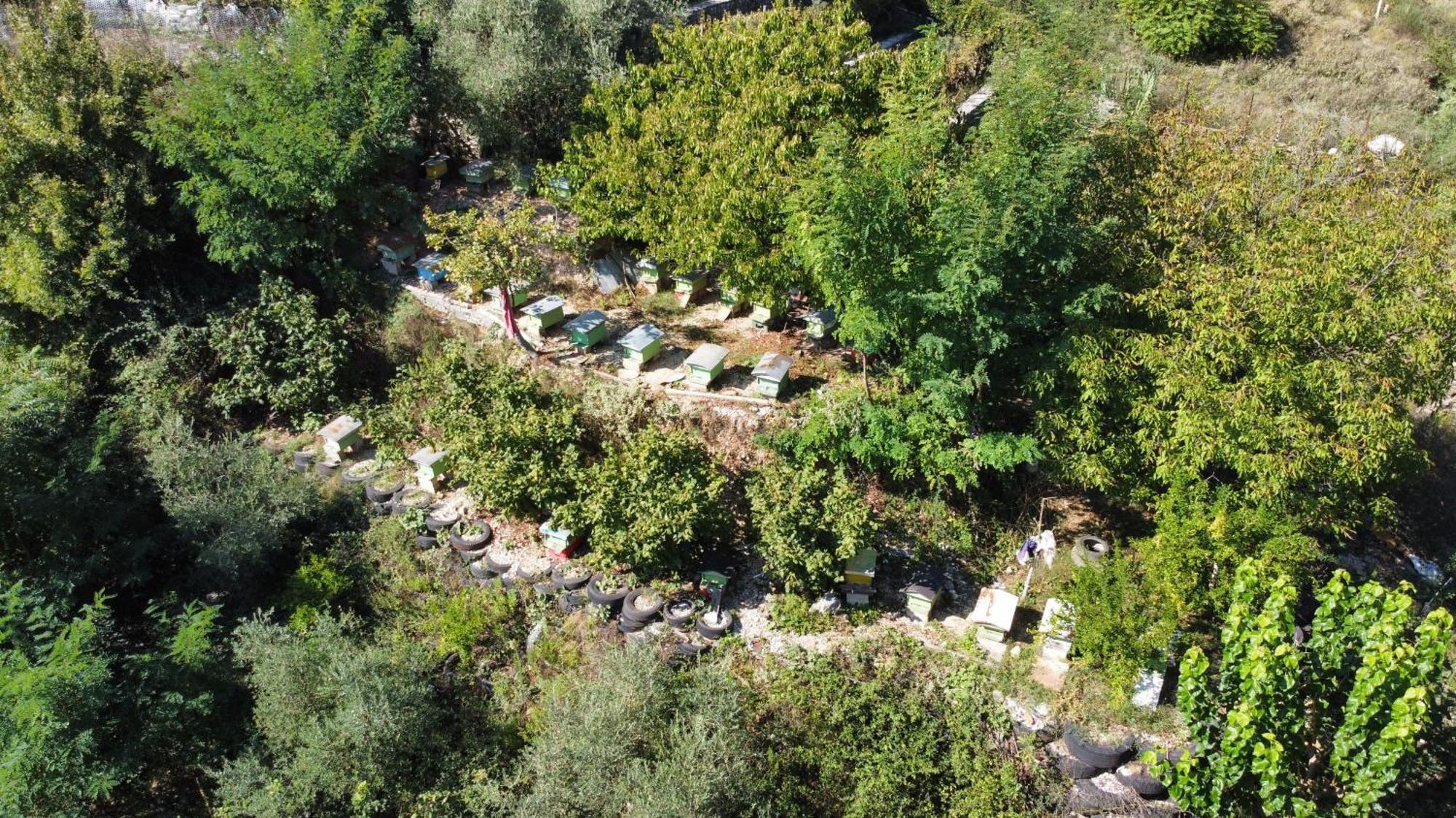 Guesthousemantho Gjirokastër Camera foto